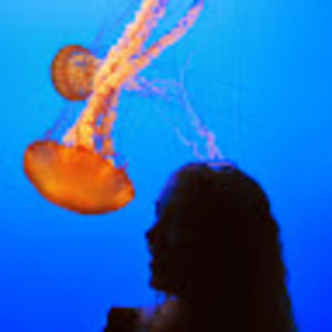 Meet your Posher, Willow